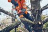 Husqvarna T542i XP akkumulátoros láncfűrész (csak gép)