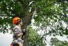 Husqvarna Aspire ágvágó fűrész + teleszkópos szárcsak gép