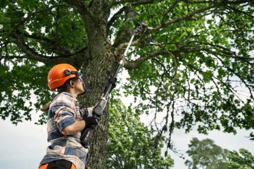 Husqvarna Aspire ágvágó fűrész + teleszkópos szárcsak gép