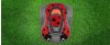 Husqvarna 450X matrica szett (terep)